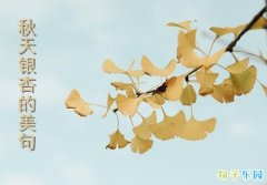 ����Ψ�����Ӷ�һ�� �������ӵ���������Ȧ
