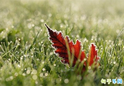 ��¶��ô��ף���� ��¶����ף����˵˵