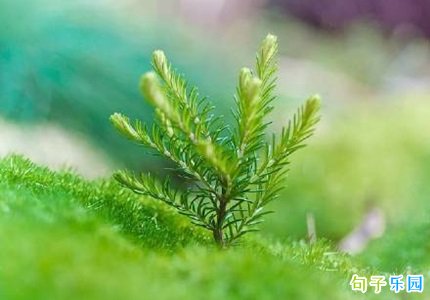 很有意境的文案 意境优美的文案