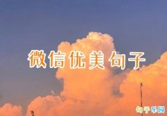 ΢���������� �ʺϷ�΢�ŵ�Ψ���İ�