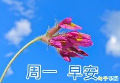 ��һ�簲��Ȧ��������� ��һ������Ȧ�簲���¶̾�