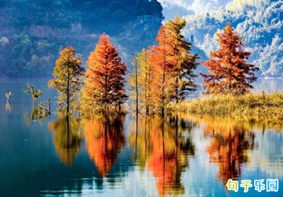 �鱾�����������İ�