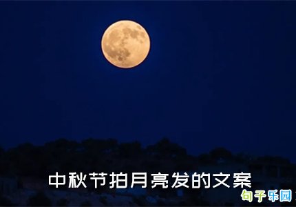 ����Ȧɹ�������� ����������������İ�