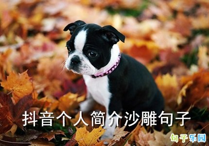 �����Ƚϸ�Ц�ļ�� �������˼��ɳ�����