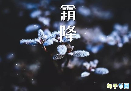 适合霜降发的句子 关于霜降的说说句子
