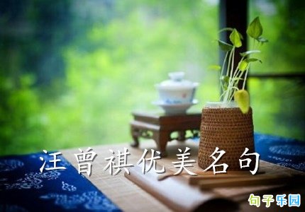 汪曾祺优美名句 汪曾祺温暖语录