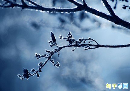 抖音个人签名古风 抖音签名古风简短