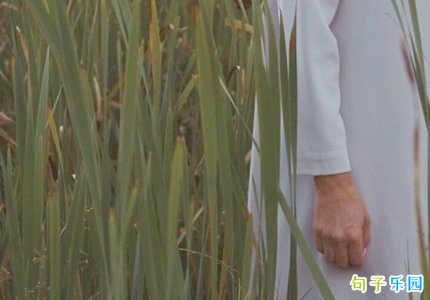 压抑憋屈的文案