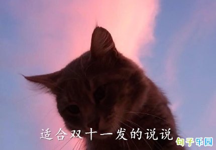 适合双十一发的说说 双十一购物发朋友圈说说