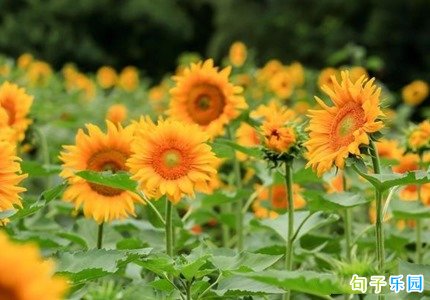 深刻的早安问候 最好的微信早安问候语