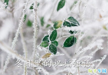 冬日里的祝福短语 温馨美好的冬天祝福语