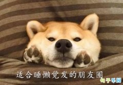 �����ѻ�������Ȧ �ʺ�˯������������Ȧ