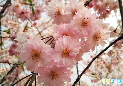 ���ô�ֵ�Ψ������ǩ�� �������ô�ֵ�Ψ����¼