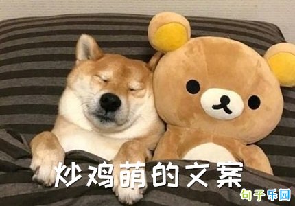 炒鸡萌的文案