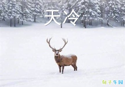 天冷的说说句子