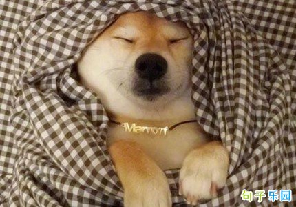 ���콵�µ�˵˵ ������������Ȧ��ô��