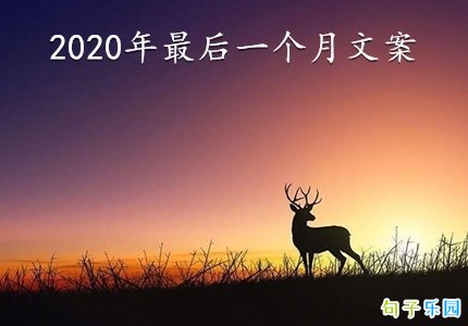 2020�����һ�����İ�