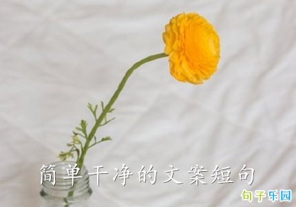�򵥸ɾ����İ��̾�