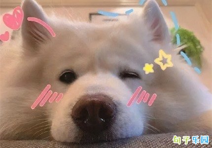 2021搞笑句子 日常发朋友圈的搞笑句子