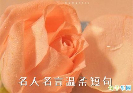 ����������¼ ������������̾�