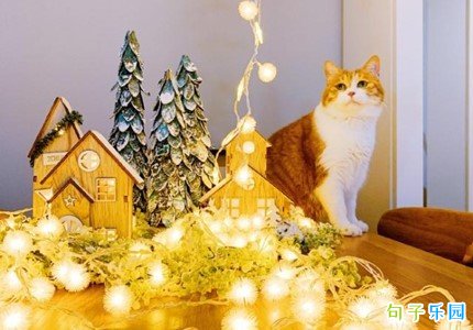 ʥ�����վ��� ����ʥ��������