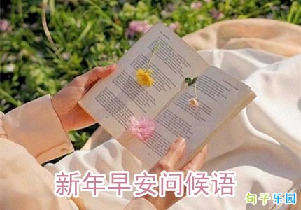 �����簲�ʺ���