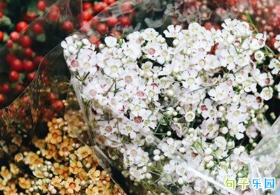 2021元旦朋友圈怎么发 元旦朋友圈说说简短