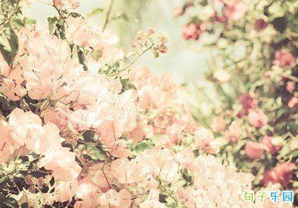 QQ空间主人寄语唯美 QQ空间寄语优美句子