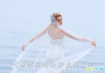可以配在婚纱照里的文字