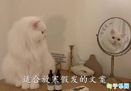 �ʺϷź��ٷ����İ�