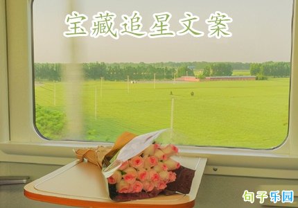 宝藏追星文案