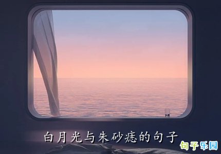 白月光与朱砂痣的唯美句子