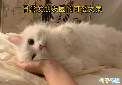 �ճ�������Ȧ�Ŀɰ��İ�