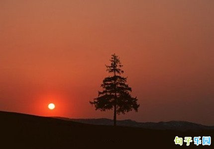 �������˾��� ������¼�̾��˸�