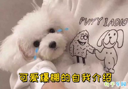 �ɰ���������ҽ��� ���ָ��˽��ܿɰ�ɳ��