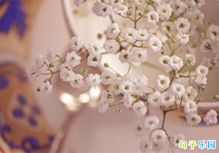 ���ָ�����������