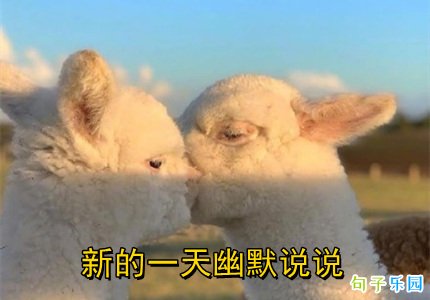新的一天幽默说说