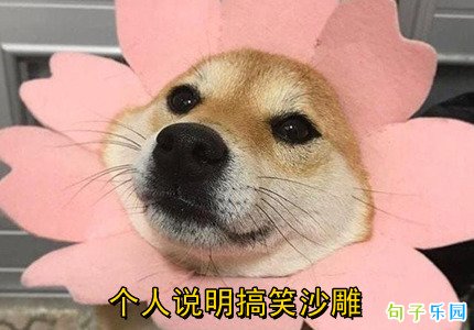 个人说明搞笑沙雕
