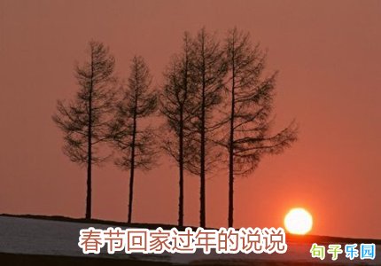 春节回家过年的说说