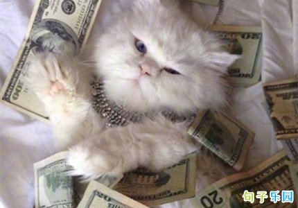 ������İ����� ΢������Ȧ������İ�