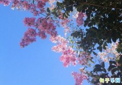 �ʺϷ�QQ�ռ��Ψ������ �����ľ���QQ�ռ䷢��