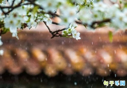 �ʺϴ�ů�������İ� ��ů����������Ȧ�̾�