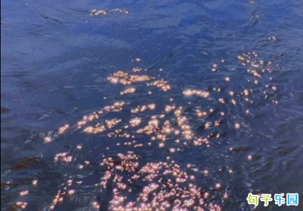 励志又温柔的文案句子