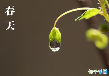 ����ʫ��ľ��Ӽ��