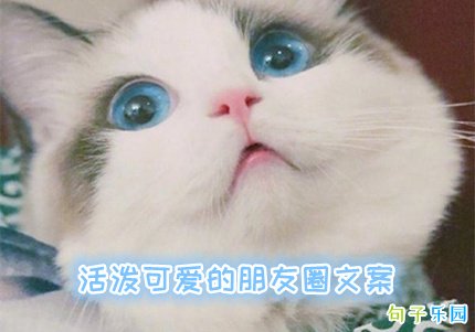 ���ÿɰ�������Ȧ�İ�