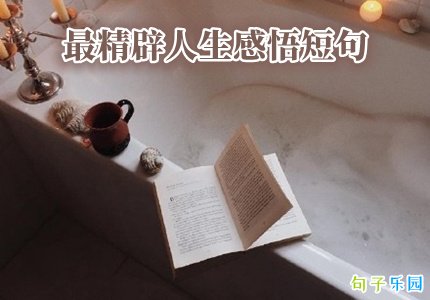 最精辟人生感悟短句