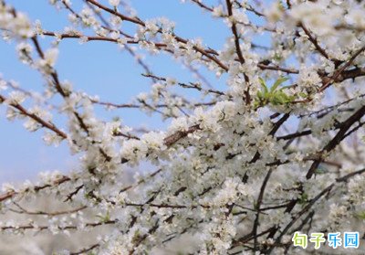���ڴ�����İ��̾� ���ڴ���Ķ���˵˵