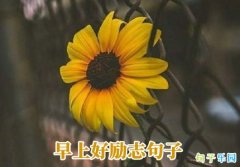 ����Ȧ���Ϻ���־����