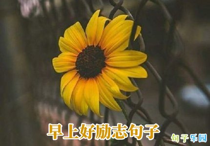 早上好励志句子
