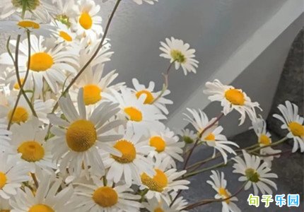 ���µ�˵˵����Ȧ �������µľ���Ψ��